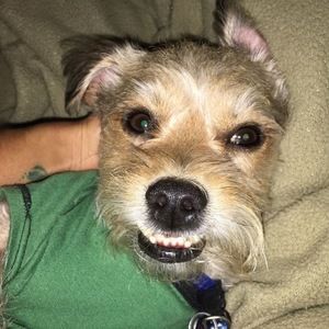 Meet your Posher, Paulina